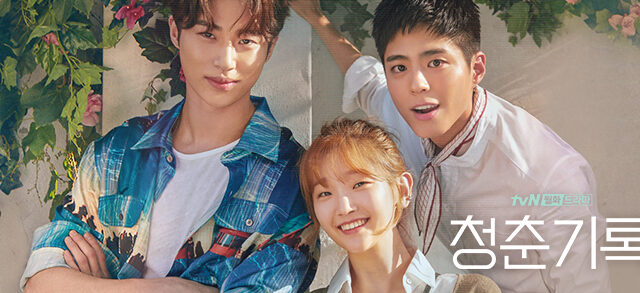 青春の記録 Ost サントラ 全曲紹介 豪華メンバーが参加 韓ドラろぐ