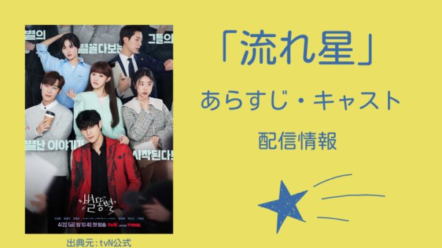 流れ星 韓国ドラマ配信情報 あらすじ キャスト イソンギョン キムヨンデ主演 韓ドラろぐ